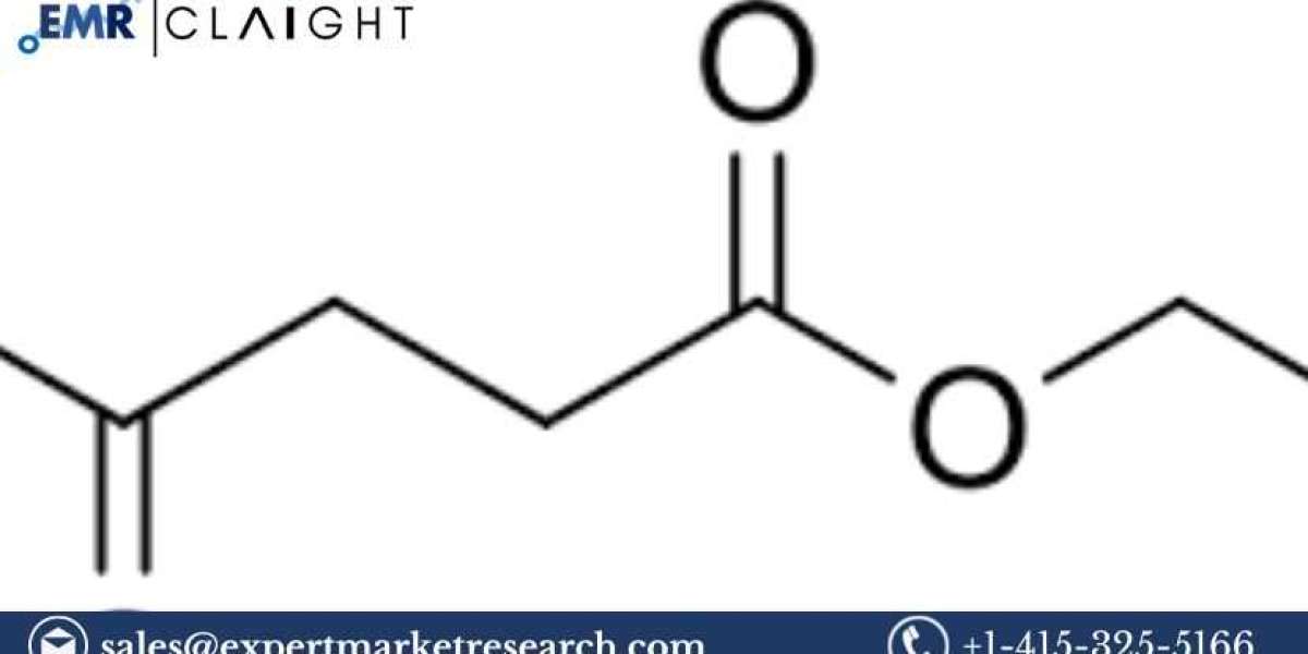 Understanding the Global Ethyl Levulinate Market: Growth, Trends, and Future Outlook