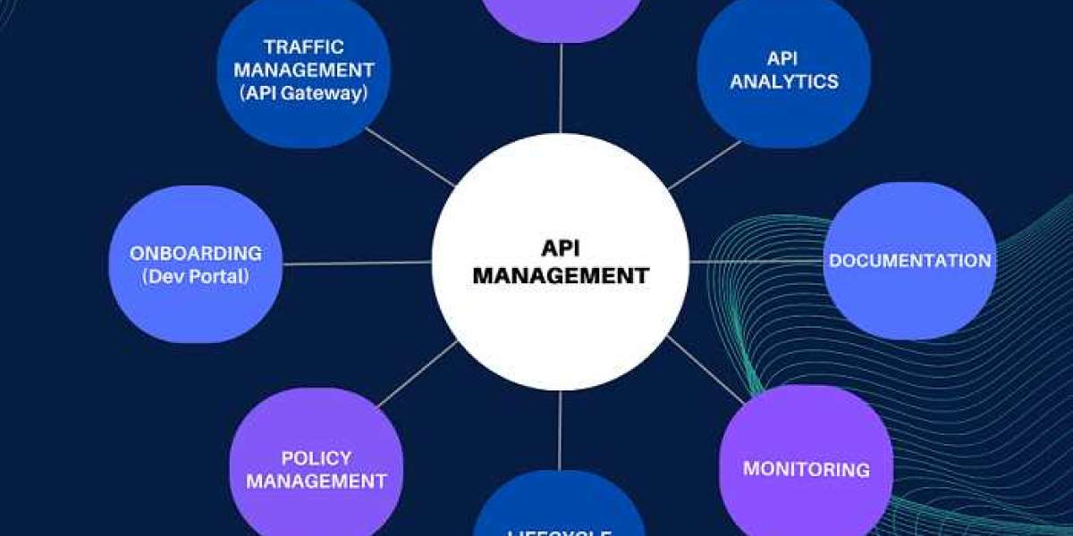 API Management Market Global Market Revenue and Share by Manufacturers