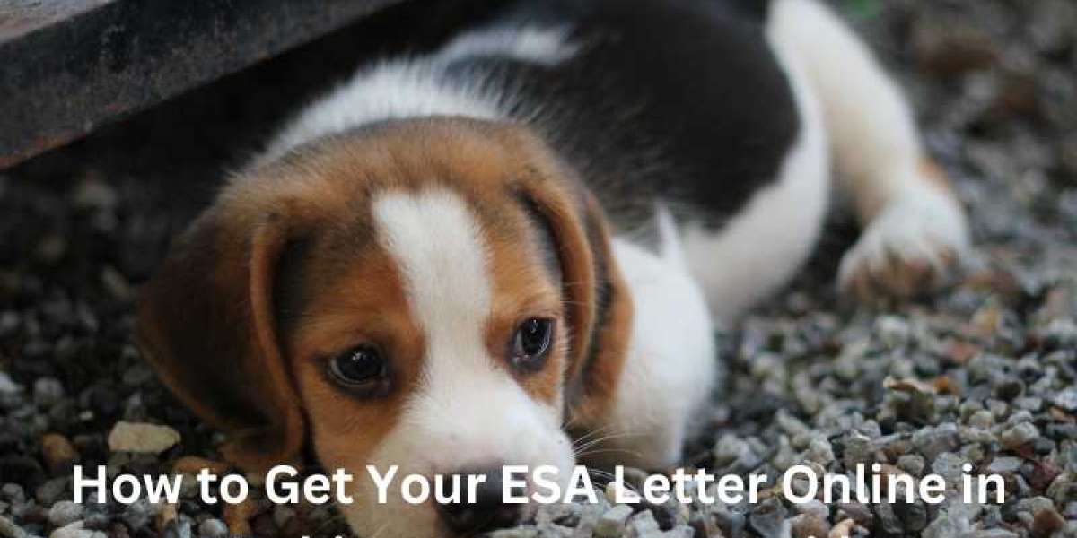 How to Get Your ESA Letter Online in Washington: An Easy Guide