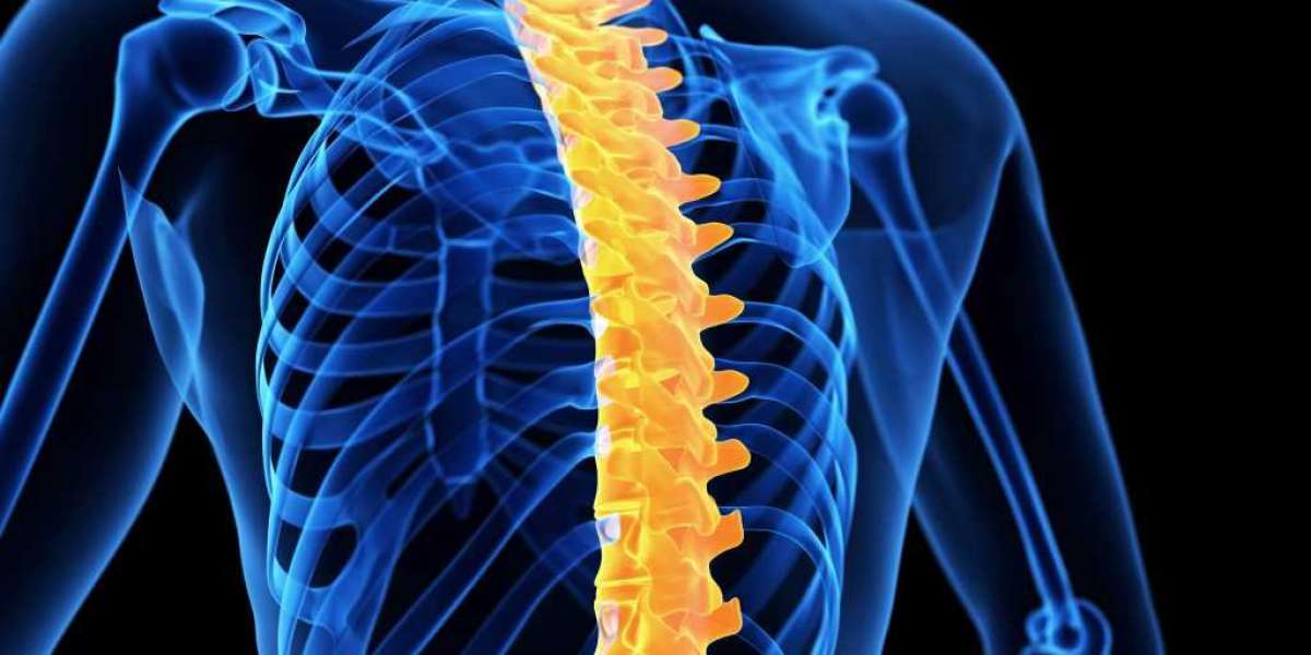 Thoracic Drainage Device Market Key Highlights and Future Opportunities till 2031