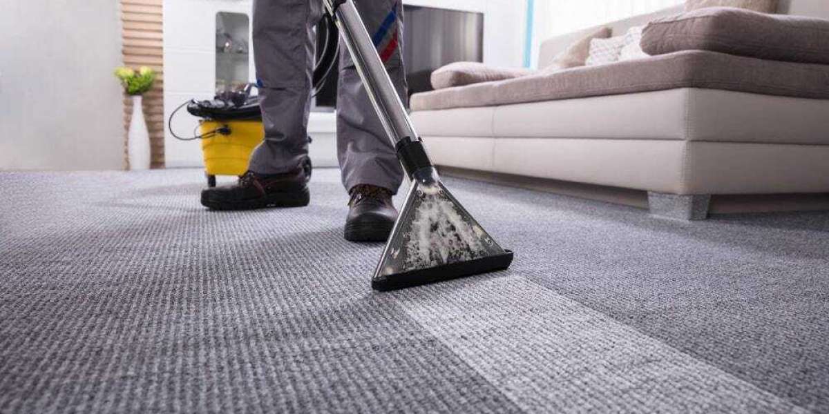 Why Regular Carpet Cleaning is Key to a Comfortable Home