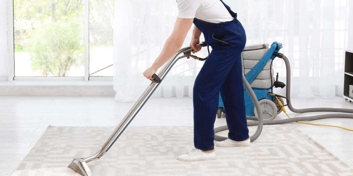 Deep Clean Your Carpets: Reliable Carpet Cleaning Services