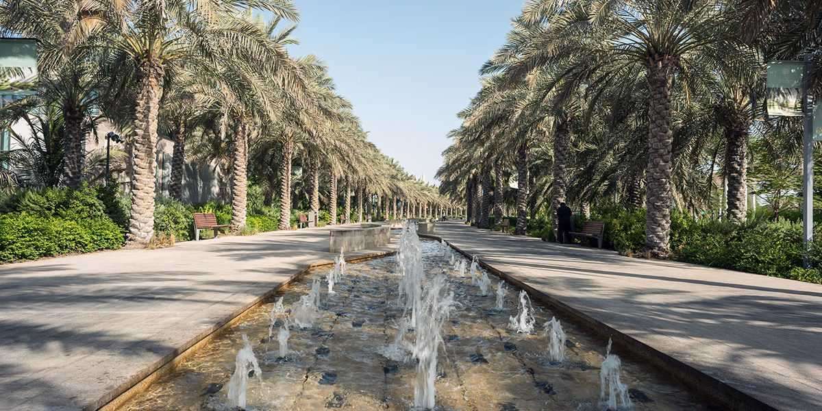 What Makes Umm Al Emarat Park Perfect for Picnics and Relaxation?